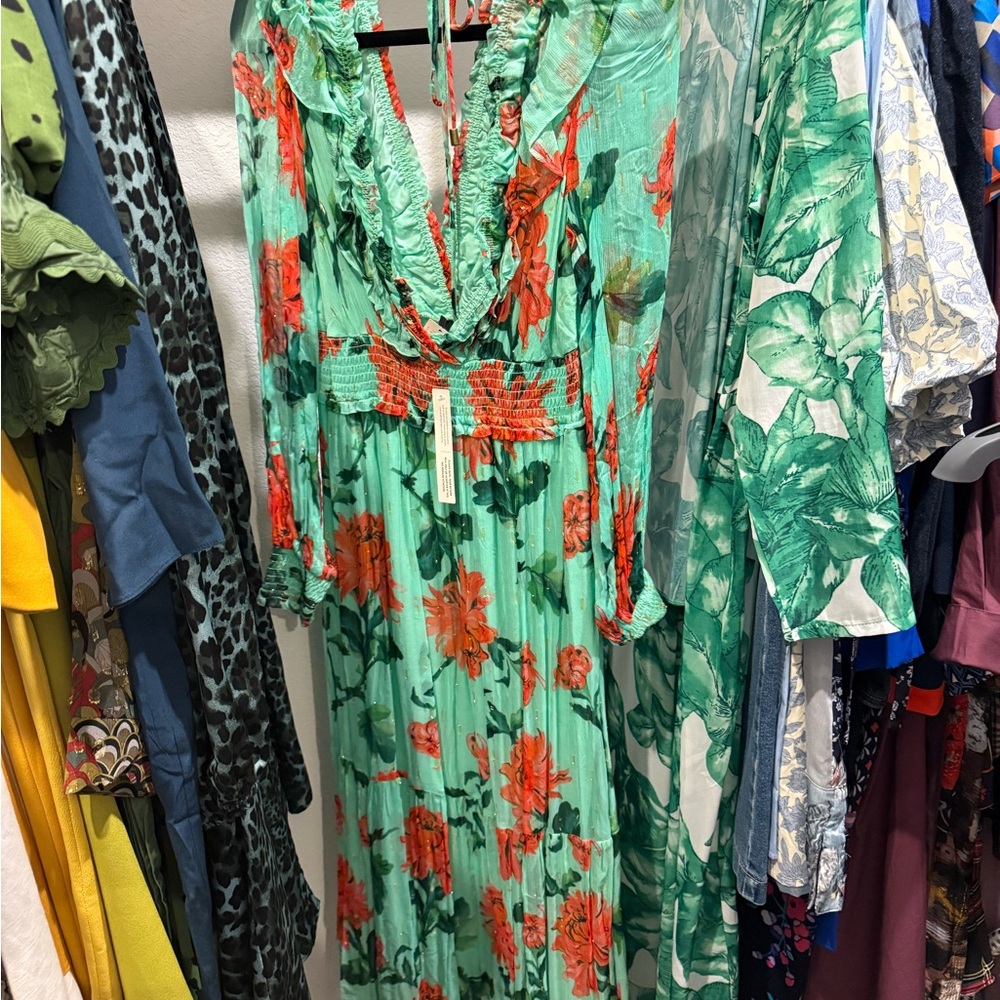NWT Anthropologie Floral Green and Red Maxi Dress